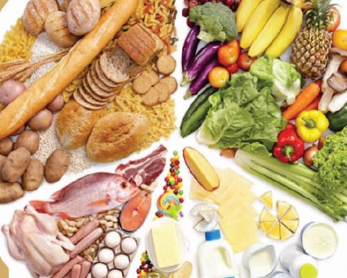 Food Processing